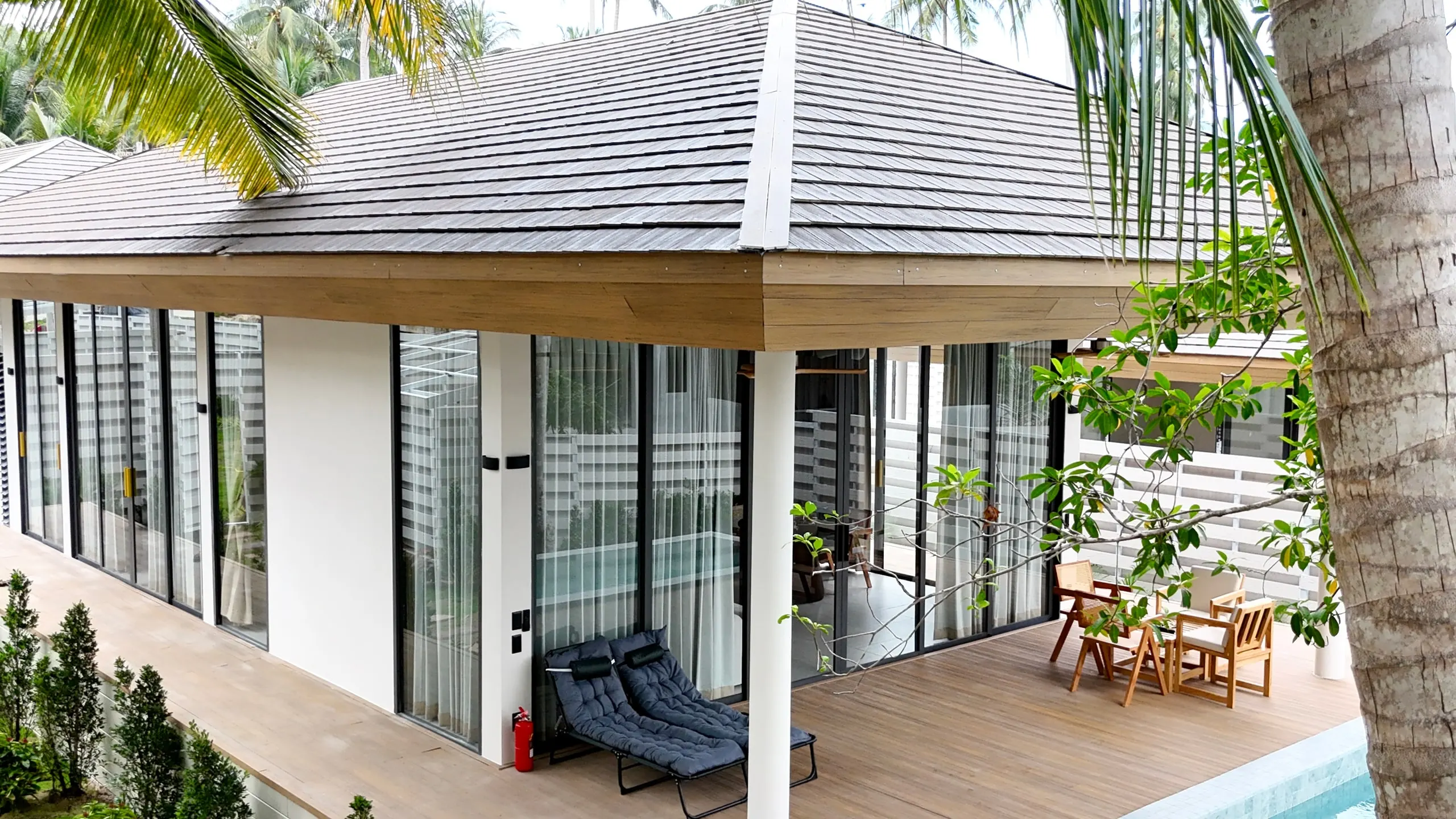 Villa II — roof corner over the terrace, palm trunk in front